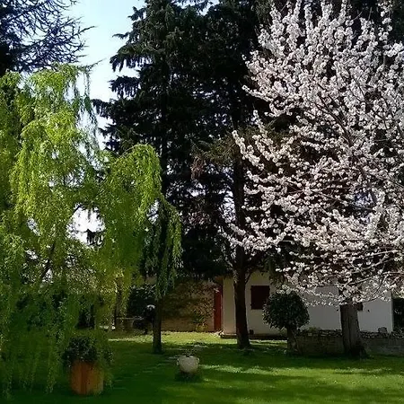 Apartmán La Casa Di Mariasole *