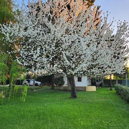 Apartmán La Casa Di Mariasole *